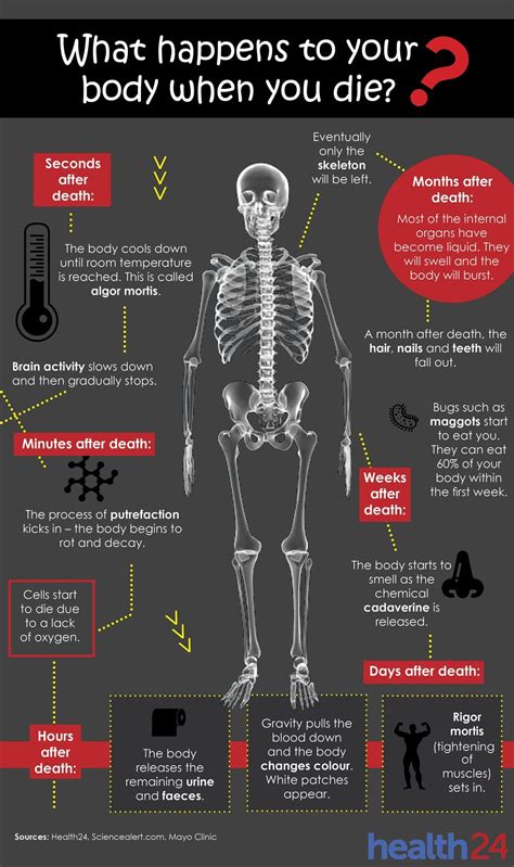 See What Happens To Your Body After You Die Health24