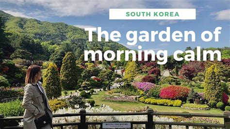 The Garden Of Morning Calm South Korea Springseason Travel