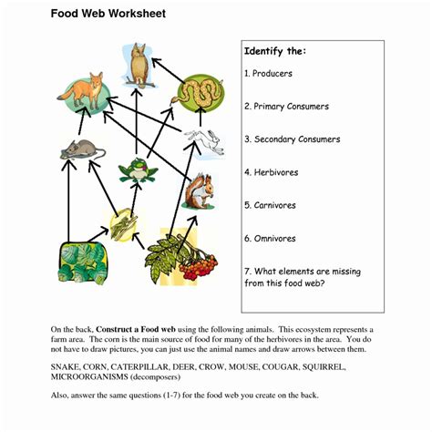 Food Web Worksheets Answer Key