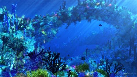 Underwater Ocean Wallpaper Wallpapersafari