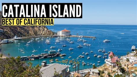 Things To Do In Catalina Island California Travel Guide And Vlog