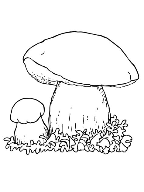 Das ausmalen macht spaß und trainiert gut die feinmotorik. Ausmalbilder, Malvorlagen - Steinpilz kostenlos zum ...