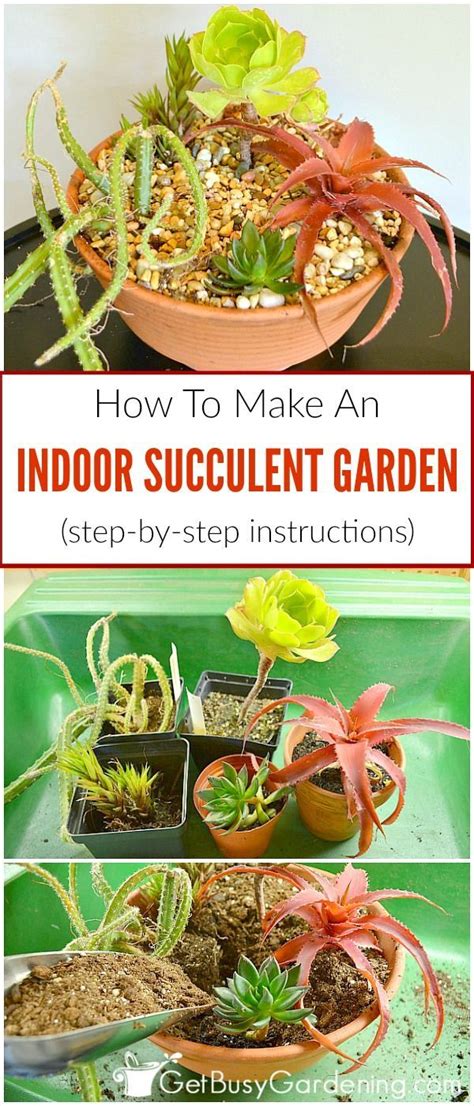 Succulents Make Easy To Care For Houseplants And They Are Perfect For