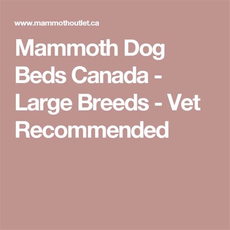Ollie is therefore perfect for even the pickiest of dogs. Mammoth Dog Beds Canada - Large Breeds - Vet Recommended ...