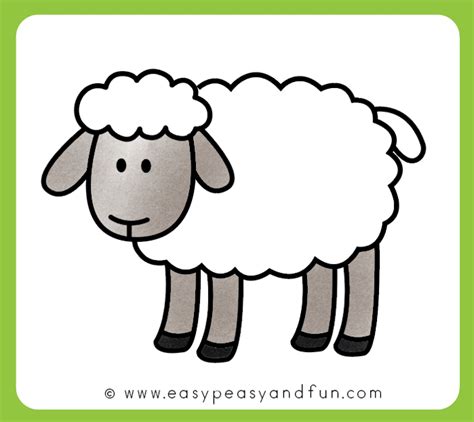 How To Draw A Sheep Step By Step Sheep Drawing Tutorial Sheep