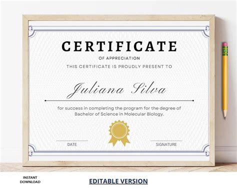 Certificado De Apreciación Premio De Reconocimiento Modelo Editable