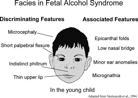 Fetal Alcohol Spectrum Disorders An Overview With Emphasis On Changes
