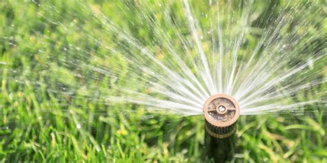 We did not find results for: Tips for Choosing the Correct Sprinkler Head : Drip Depot ...