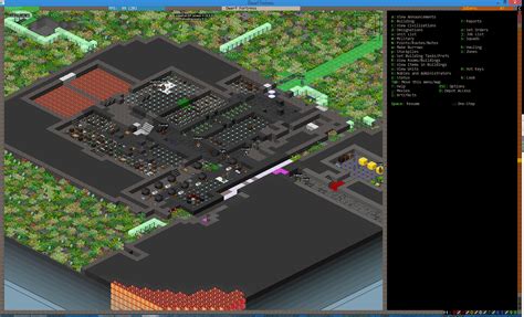 Dwarf Fortress Now Has Real Isometric Graphics Not Just An External Viewer Rgaming