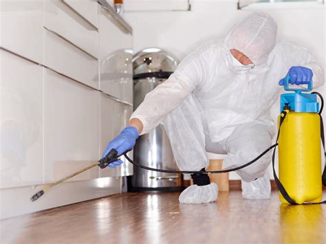 Difference Between Pest Control And Exterminators