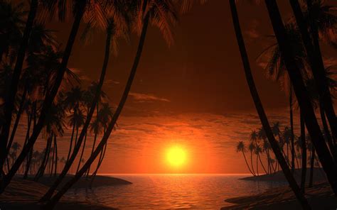 Beautiful Sundown Desktop Wallpapers 1440x900