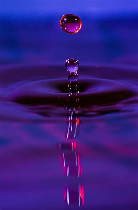 Red Water Drop Photograph By Brad Granger