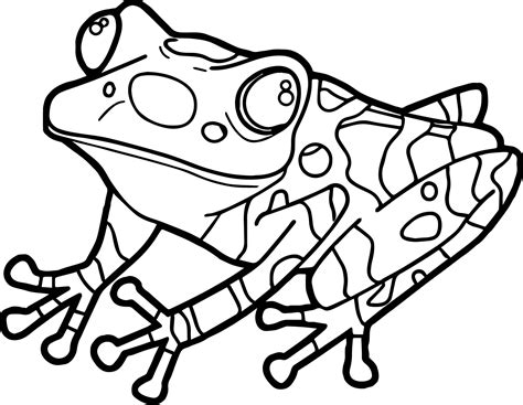 Frogs are cute and a fun subject to color. Realistic Frog Coloring Pages | Free download on ClipArtMag