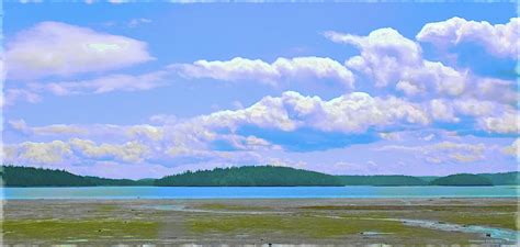 Skagit Bay Photograph By Tobeimean Peter Pixels