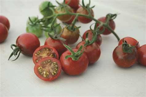 Garnet Tomato A Comprehensive Guide World Tomato Society