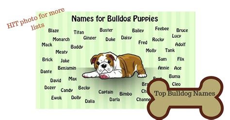 30.04.2020 · top female bulldog dog names. I love My Dog; Natural Pet Health,: Popular English ...