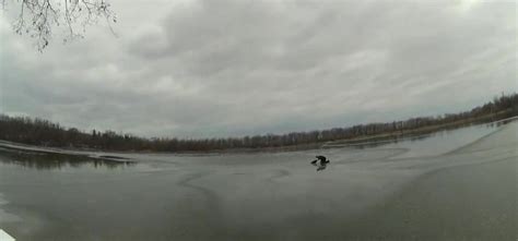 Police Officer Sprints Across Thin Ice To Rescue Dog Stuck In Frozen Lake