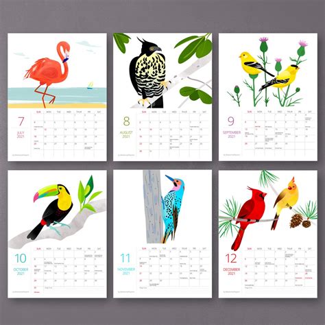 2021 Birds Calendar Illustrated Birds Calendar 2021 2021 Etsy