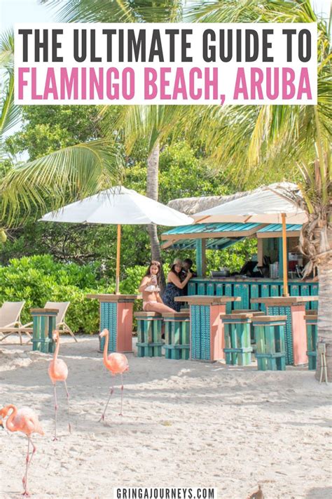 This Is The Ultimate Guide To Visiting Flamingo Beach Aruba With