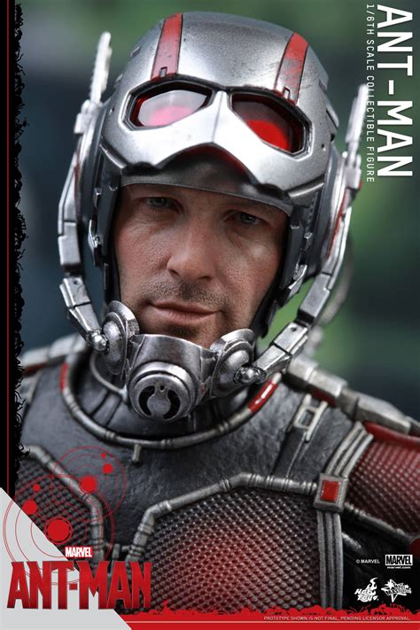 Hot Toys Reveal Latest Ant Man Collectible Figure