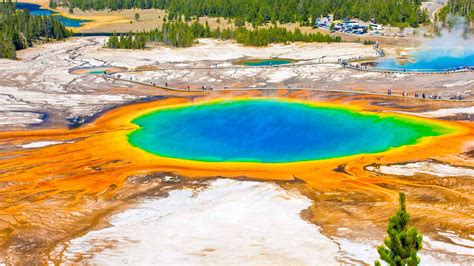 Top Walking Tours Of Yellowstone National Park In 2021 See All The