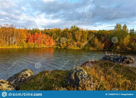 View Of The Autumn Forest And The Surface Of The Lake