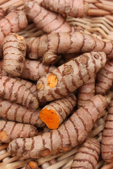 Turmeric Is A Plant That Has A Very Long History Of Medicinal Use