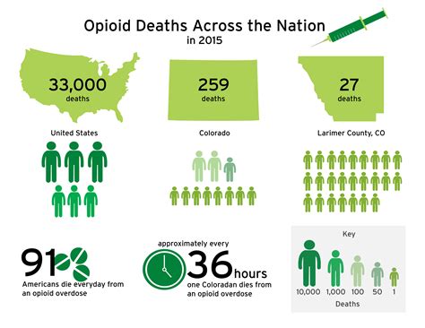 History Of Opioids And Statistics What Drugs | immigrant.com.tw