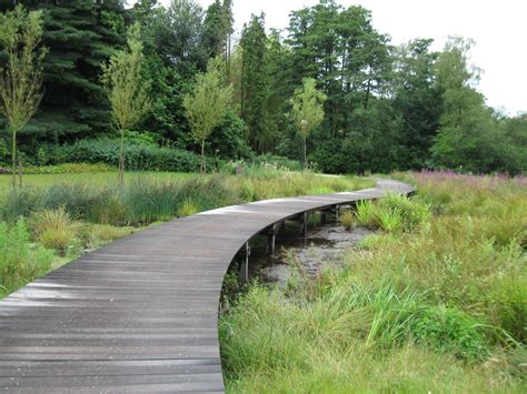 Wetland Park, Wooden Bridge, Graduation Project, Parking Design, Space