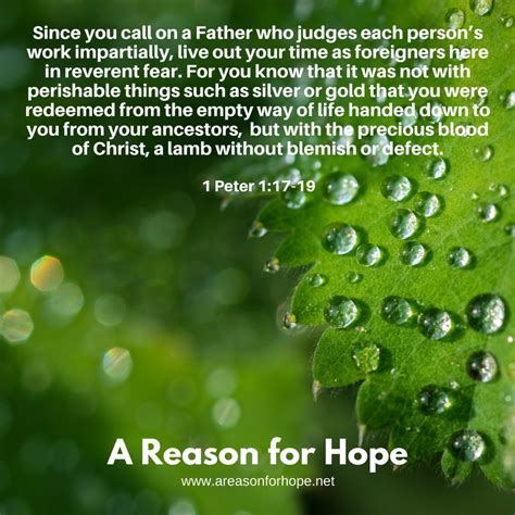 1 Peter 117 19 — A Reason For Hope With Don Patterson