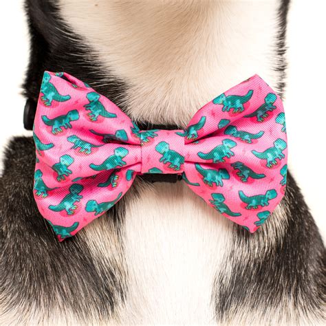 Designer Dog Collar And Bow Tie For Big And Small Dogs Big And Little Dogs