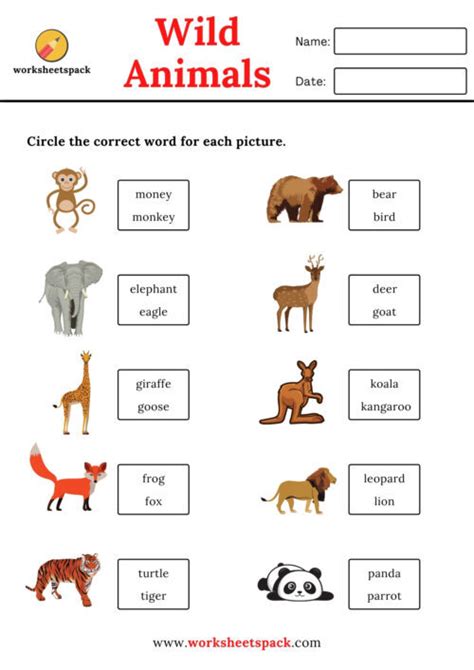 Wild Animals Worksheet Animals Wild Phonics Worksheet - vrogue.co