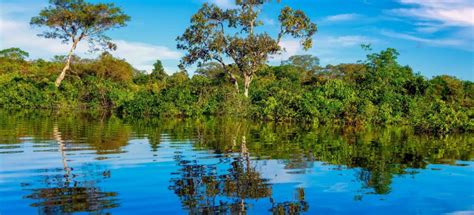 Amazon River Iquitos Book Tickets And Tours Getyourguide