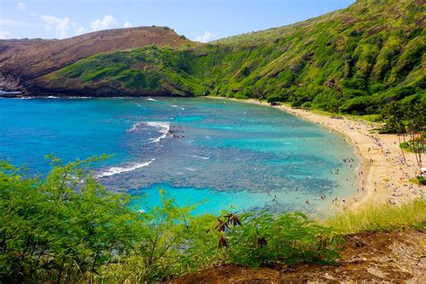 Exploring Hanauma Bay Hawaii Wanderlust Chronicles Travel Blog