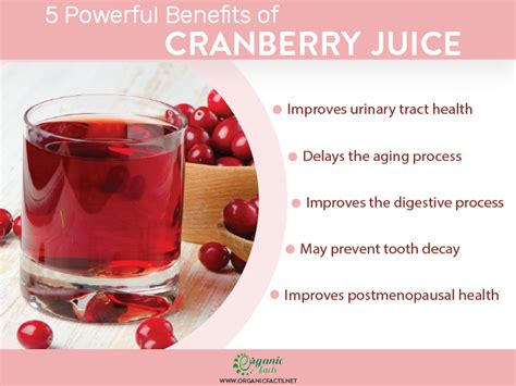 Cranberry Juice For Prostate Swelling All Information About Healthy Recipes And Cooking Tips