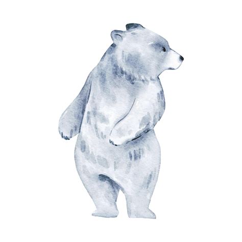 Premium Vector Polar Bear Watercolor Isolated On White Background