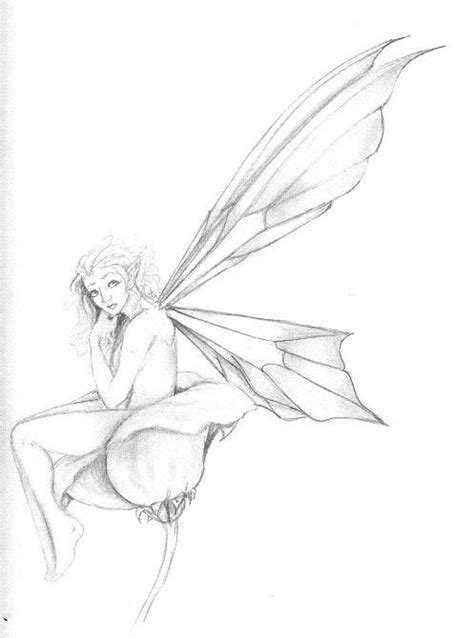 Fairy Drawings Line Art Drawings Sketches