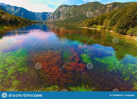 Wide Angle Picturesque Nature Landscape Of Bohinj Lake Bohinjsko Jezero