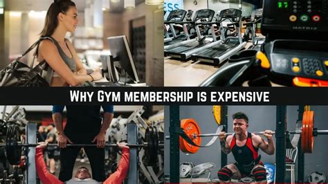 Why Are Gym Membership So Expensivecostly Health And Gym Guide