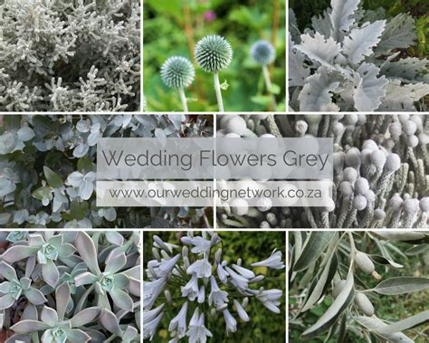 Wedding Flowers Grey Sophisticated Grey Flowers And Grey Greenery For