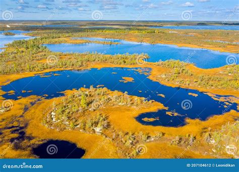 Autumn Landscape West Siberian Plain Stock Photo Image Of