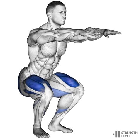 Bodyweight Squat Standards For Men And Women Lb Strength Level