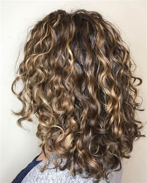 Curly Brown Hair With Dark Blonde Highlights Hairstyles Haircuts Cool Hairstyles Hairstyle