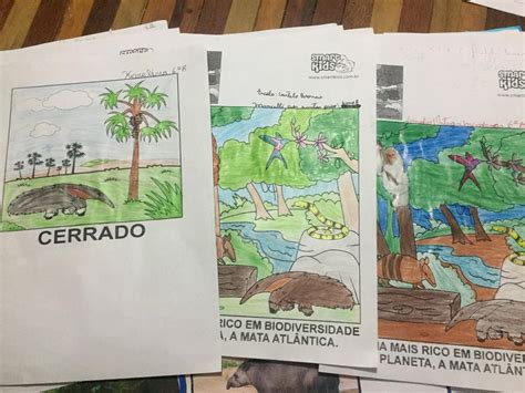 Atividade Biomas Brasileiros 4 Ano