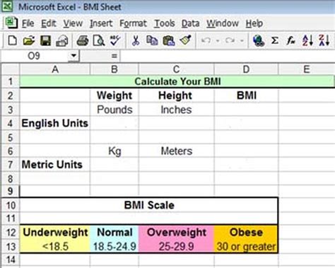 Total calorie needs example if you are sedentary, multiply your bmr (1745) by 1.2 = 2094. How to Calculate BMI in Excel | Techwalla