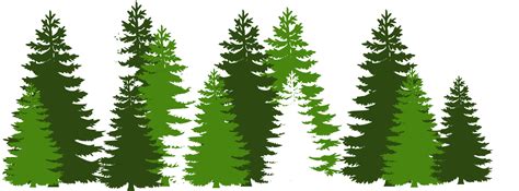 The original image is about 300x300 pixels and with 1.5 pixel border i was cropping it to fit 40x40 frame so the border was barely noticeable. Image - Swift border thing.png | Animal Jam Clans Wiki ...