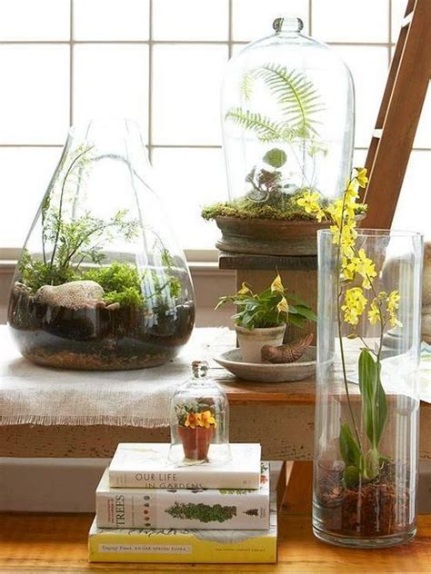 42+ Low Maintenance Indoor Succulent Garden Ideas for ...