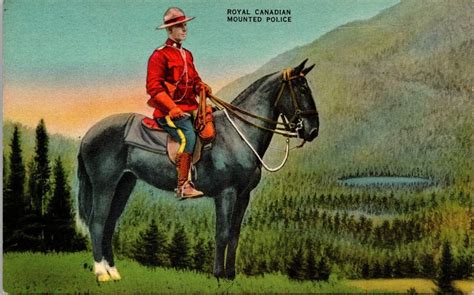 Vintage Postcard Royal Canadian Mounted Policeman On Horseback 1940s