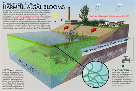 Harmful Algal Blooms Small H2ometrics