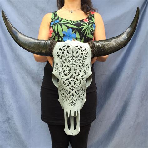 Painting Buffalo Skull At Explore Collection Of